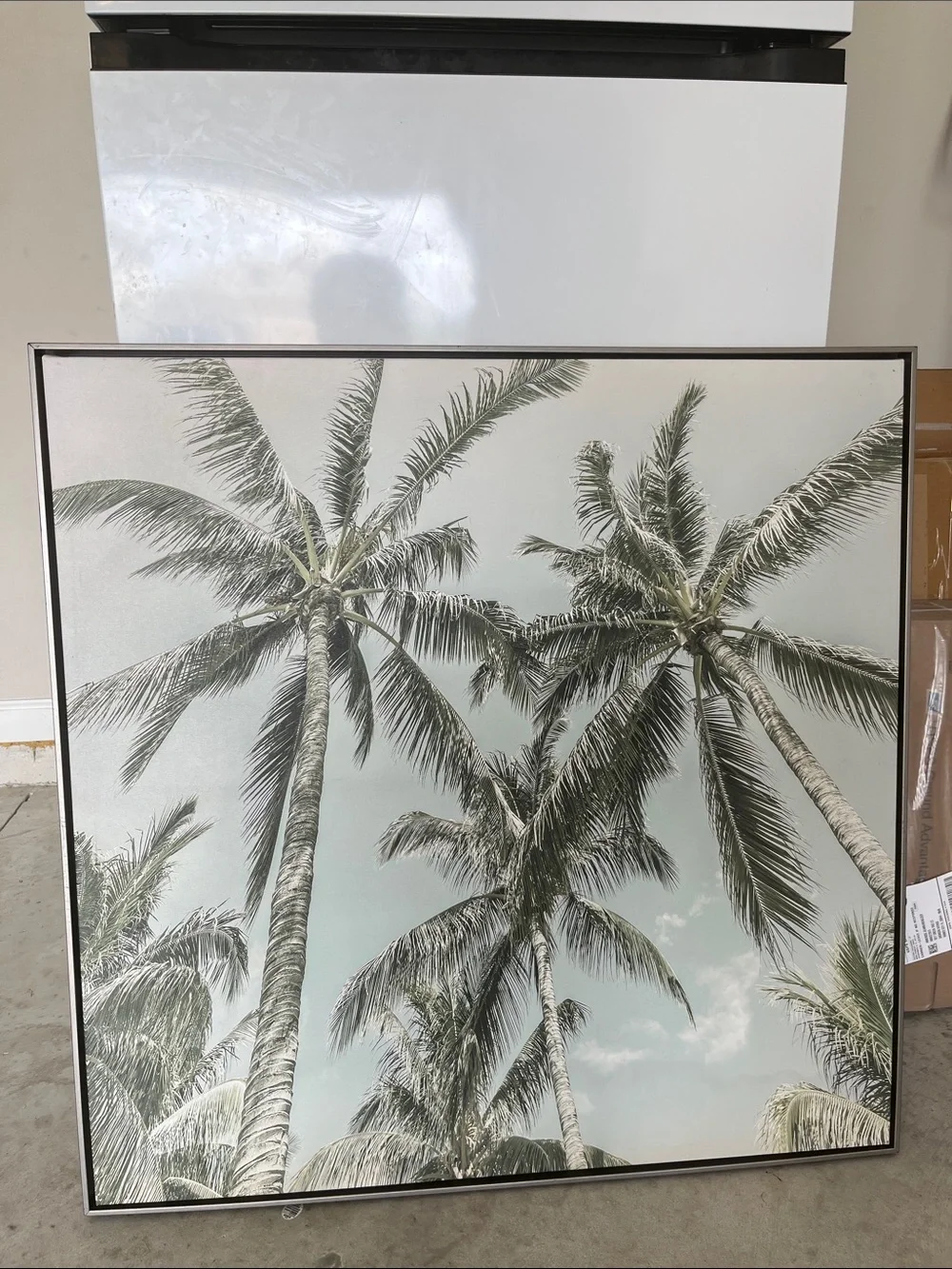 Framed Palm Tree Wall Art in Sage Green and Cream